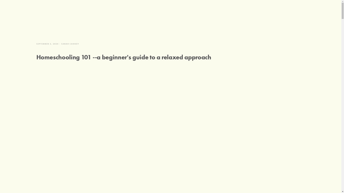 Homeschooling 101: Basics by Sarah Canney